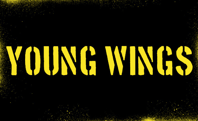 Young Wings Bild Alt