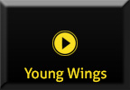 Young Wings Button Alt
